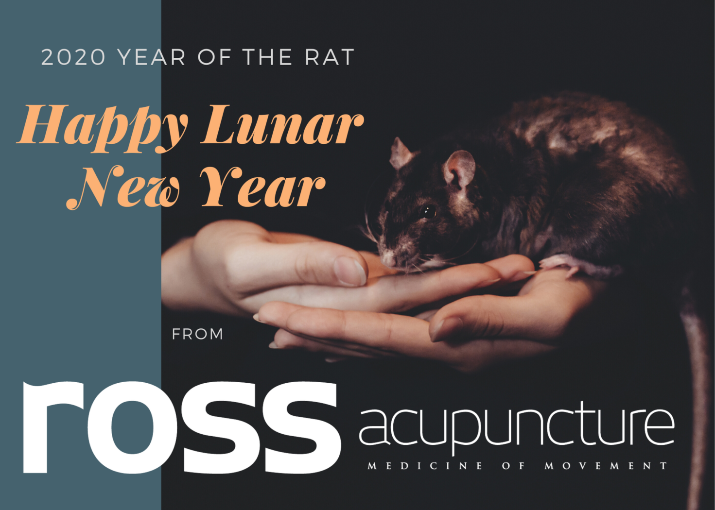 Lunar New Year greeting for year of the rat, 2020. 