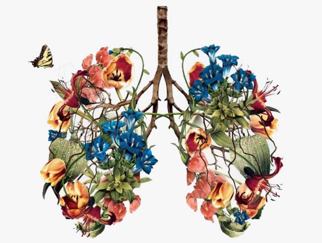 A painting of lungs created from flowers and stems